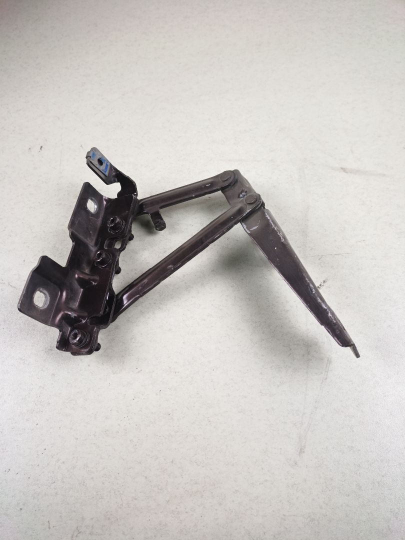 BISAGRA CAPO DERECHA Opel Insignia Berlina