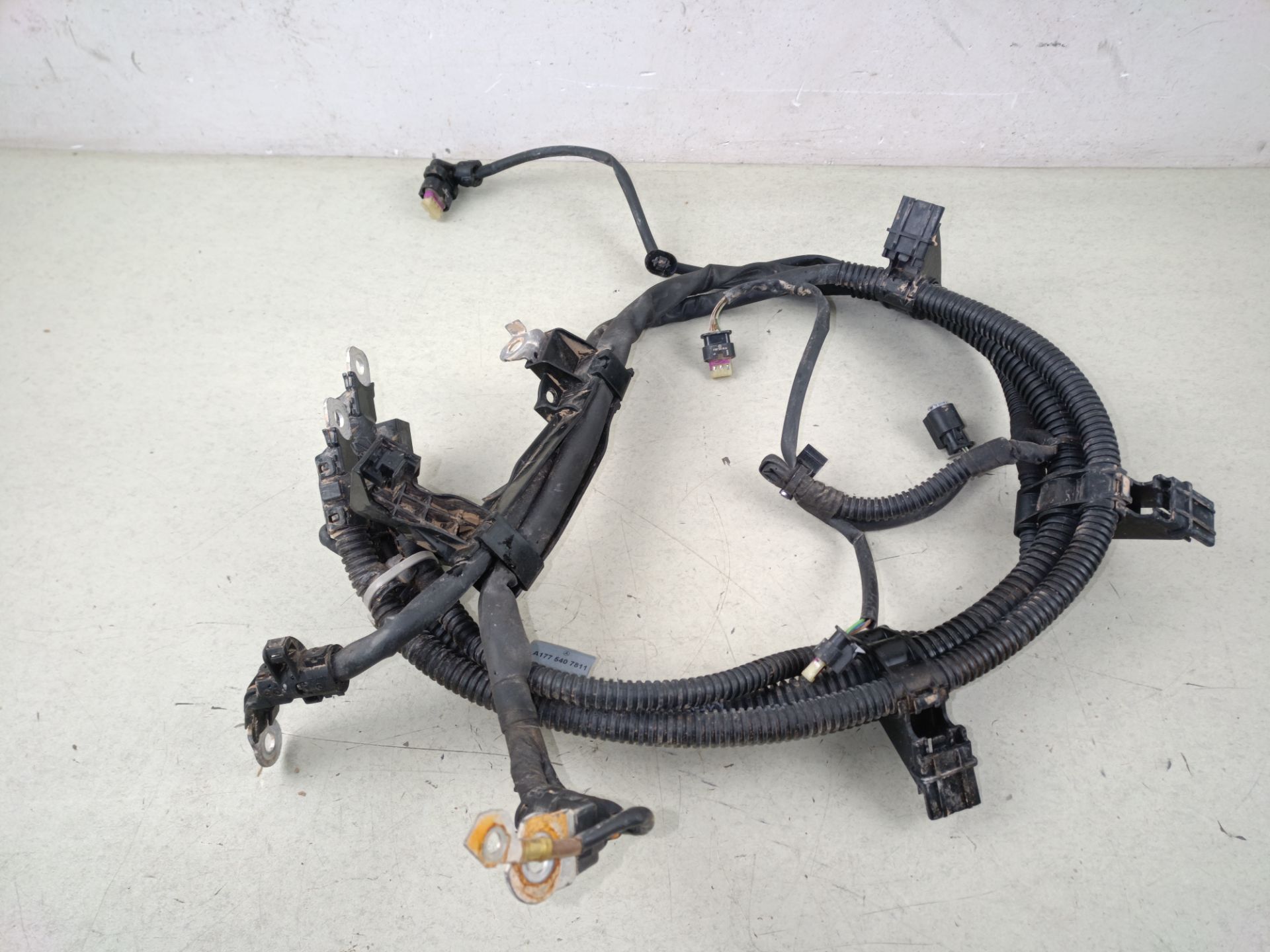 CABLEADO ELECTRICO Mercedes-Benz B (BM 246)