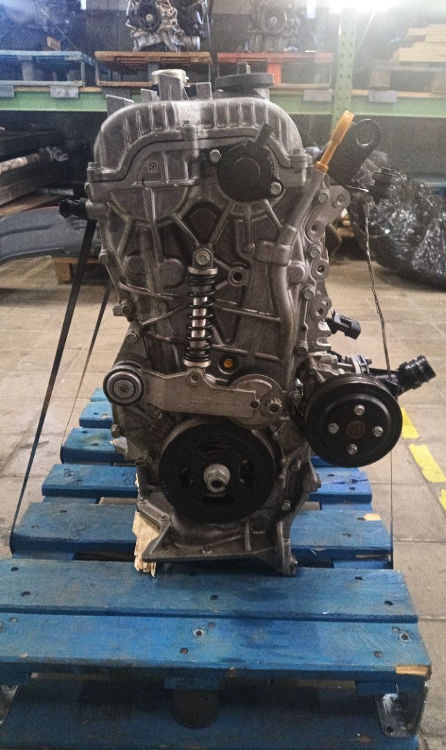 MOTOR COMPLETO Kia Niro (DE)