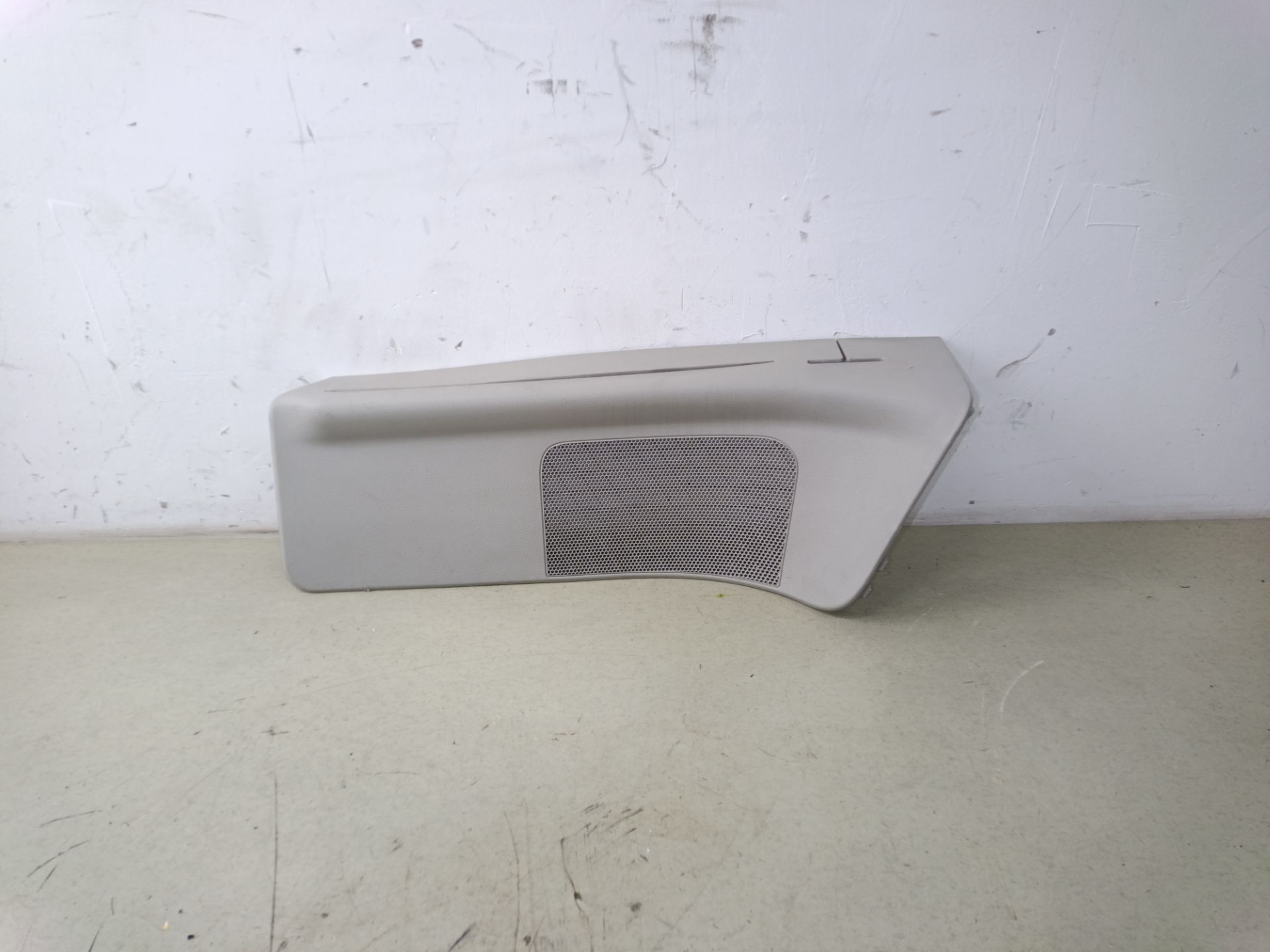 EMBELLECEDOR Chrysler Grand Voyager (RT)