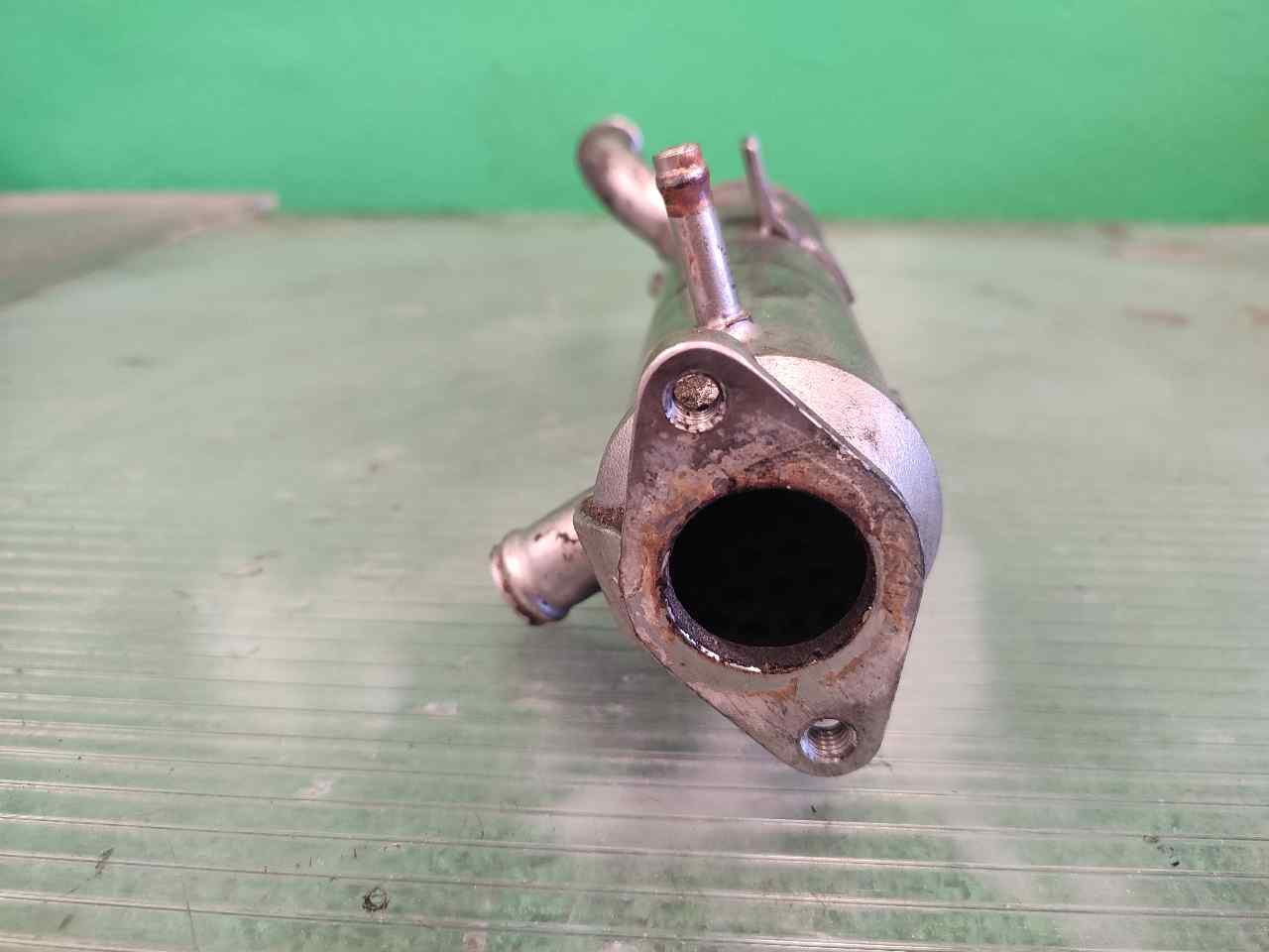 Tienda ENFRIADOR EGR