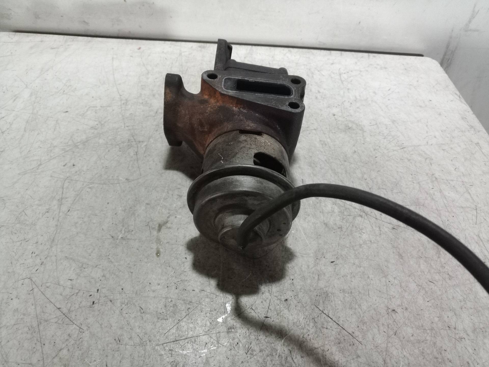 SIN DEFINIR VALVULA EGR HONDA FR-V 2007 14670 devimagesvext/08283e45-1ba6-4c70-9a92-5b0ff35685bb/migcrv/imagenes/000/000/293/000000293818.jpeg