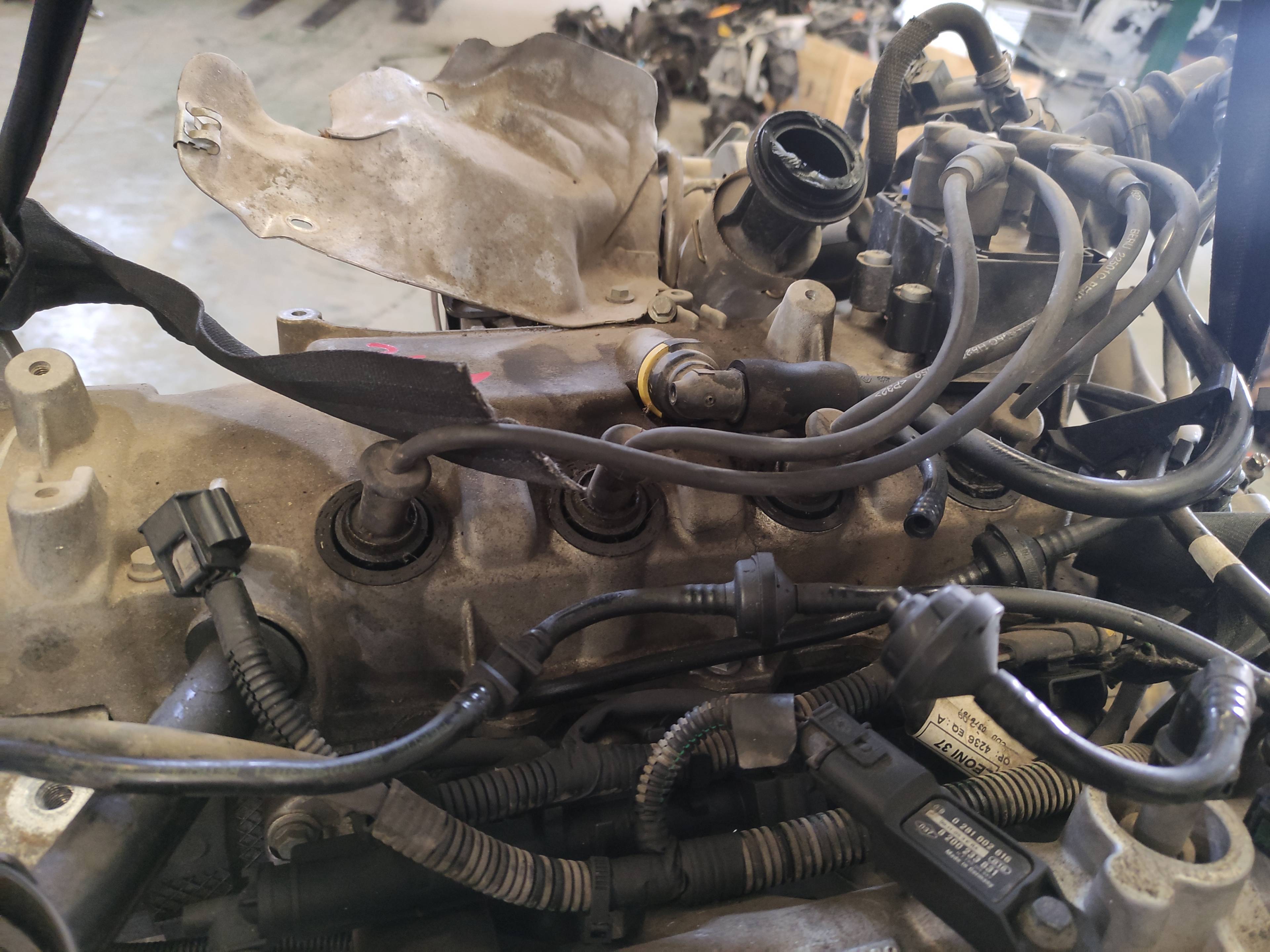 D4FH784 MOTOR COMPLETO RENAULT GRAND MODUS 2010 13976 devimagesvext/08283e45-1ba6-4c70-9a92-5b0ff35685bb/migcrv/imagenes/000/000/347/000000347734.jpeg