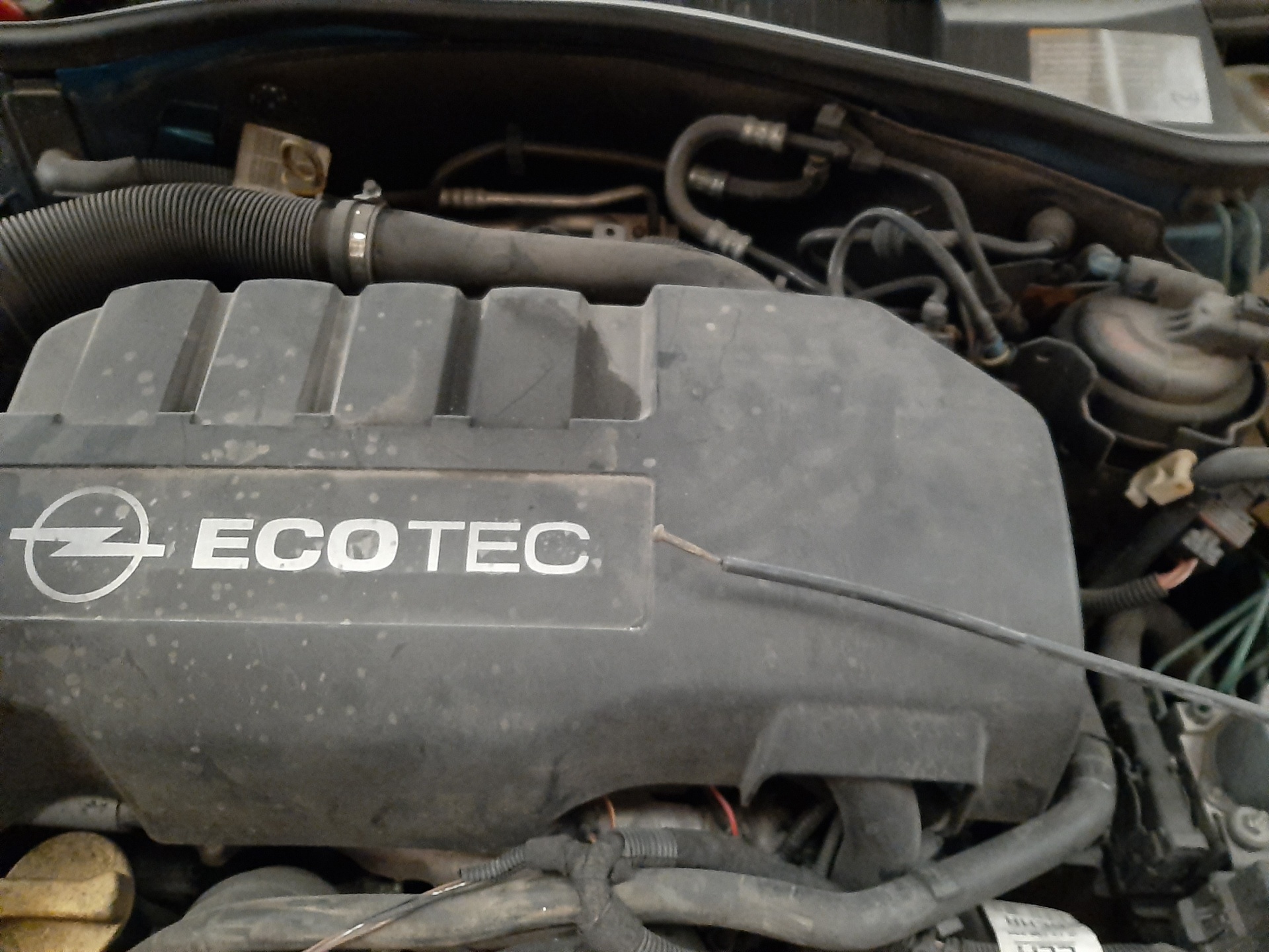 FGP73501167 DEPRESOR FRENO BOMBA VACIO OPEL TIGRA TWIN TOP 2005 15965 devimagesvext/08283e45-1ba6-4c70-9a92-5b0ff35685bb/migcrv/imagenes/000/000/404/000000404954.jpeg