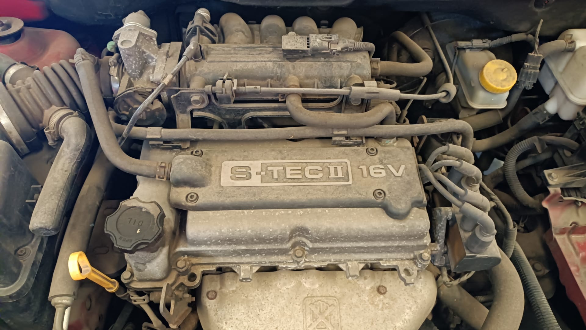 4041026 MOTOR CALEFACCION CHEVROLET AVEO HATCHBACK 2008 24322 devimagesvext/08283e45-1ba6-4c70-9a92-5b0ff35685bb/migcrv/imagenes/000/000/449/000000449104.jpeg