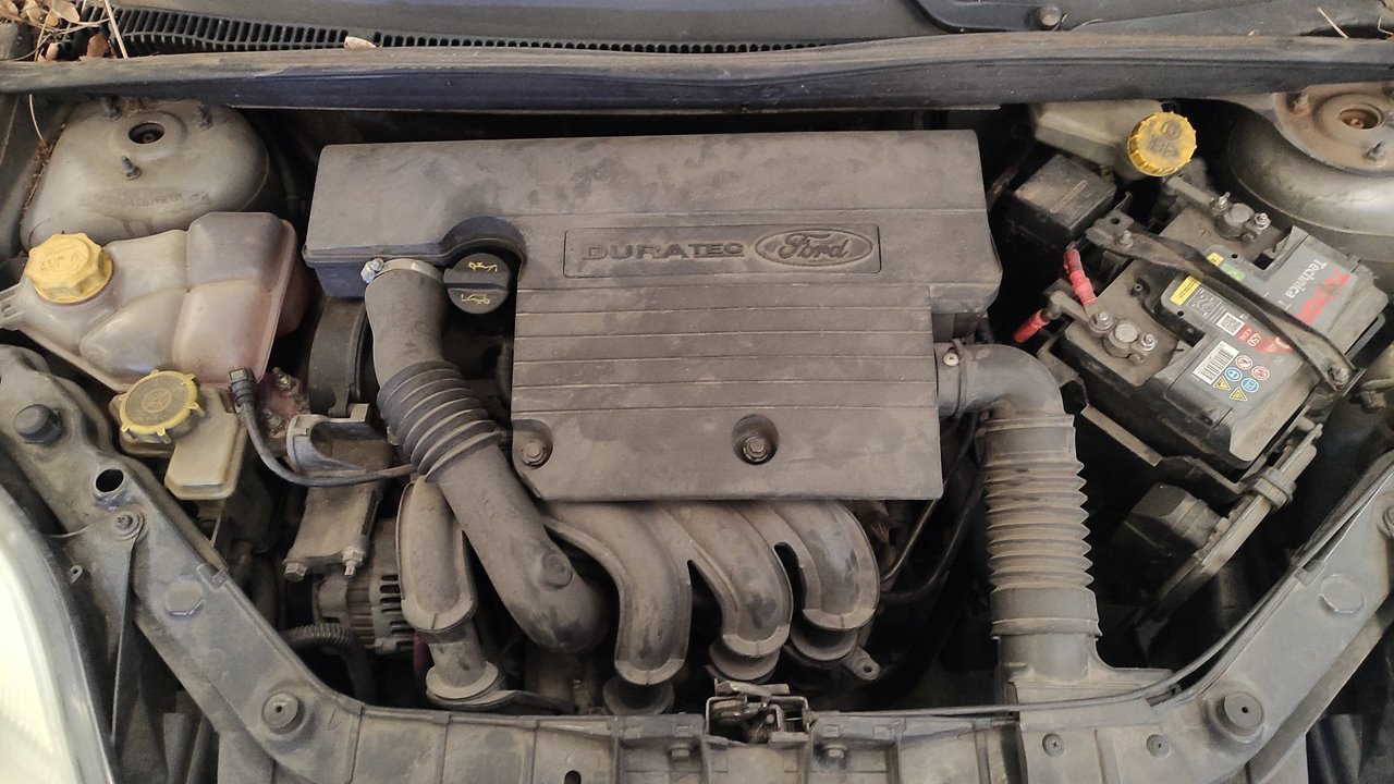 SIN DEFINIR PILOTO TRASERO DERECHO FORD FIESTA 2005 31501 devimagesvext/08283e45-1ba6-4c70-9a92-5b0ff35685bb/migcrv/imagenes/000/000/497/000000497894.jpeg