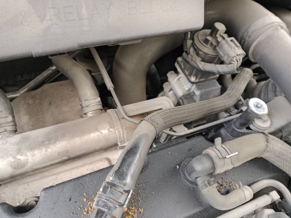 J3 MOTOR COMPLETO KIA CARNIVAL 2009 14025 devimagesvext/08283e45-1ba6-4c70-9a92-5b0ff35685bb/migcrv/imagenes/000/000/552/000000552792.jpeg