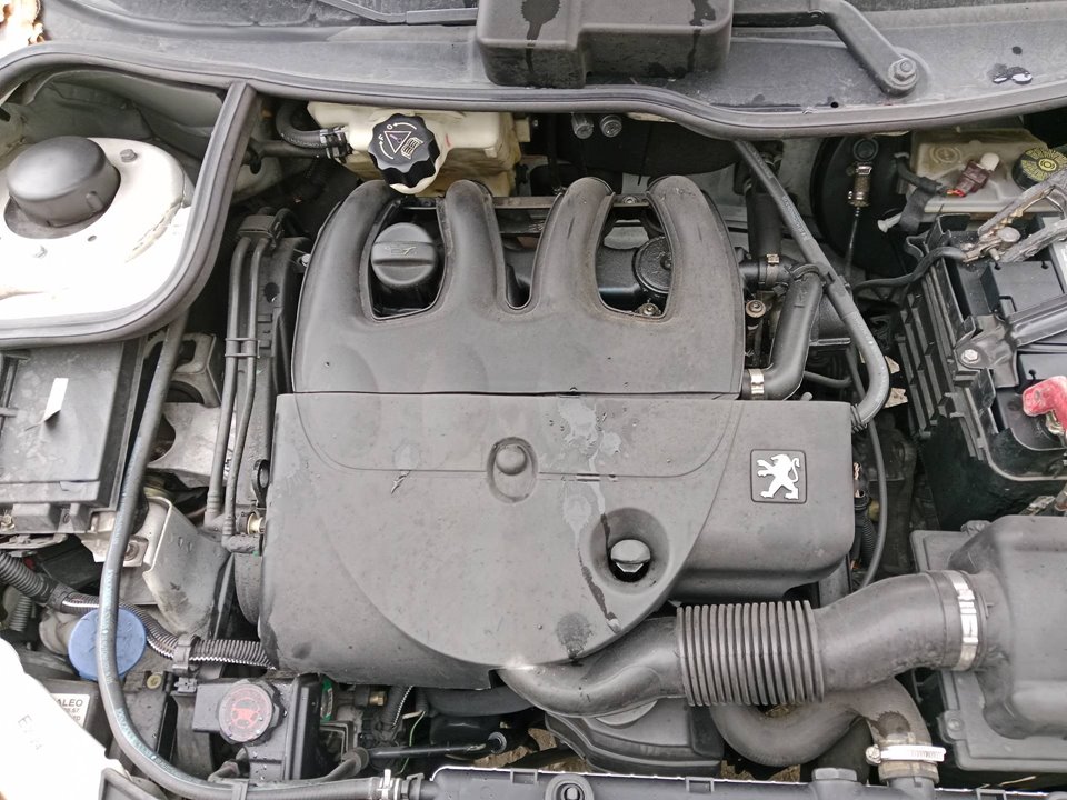 SIN DEFINIR PILOTO TRASERO DERECHO PEUGEOT 206 2001 31629 devimagesvext/08283e45-1ba6-4c70-9a92-5b0ff35685bb/migcrv/imagenes/000/000/552/000000552836.jpeg