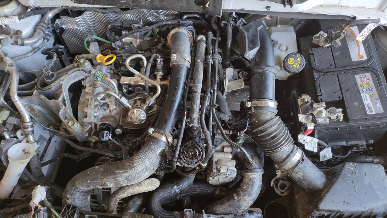 SIN DEFINIR CERRADURA PUERTA DELANTERA DERECHA NISSAN JUKE 2024 8657 devimagesvext/08283e45-1ba6-4c70-9a92-5b0ff35685bb/migcrv/imagenes/000/000/560/000000560458.jpeg