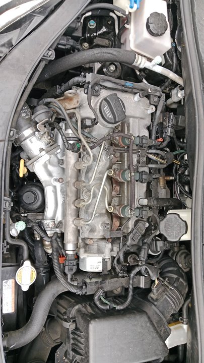 SIN DEFINIR PILOTO TRASERO IZQUIERDO KIA PICANTO 2006 32327 devimagesvext/08283e45-1ba6-4c70-9a92-5b0ff35685bb/migcrv/imagenes/000/000/642/000000642122.jpeg