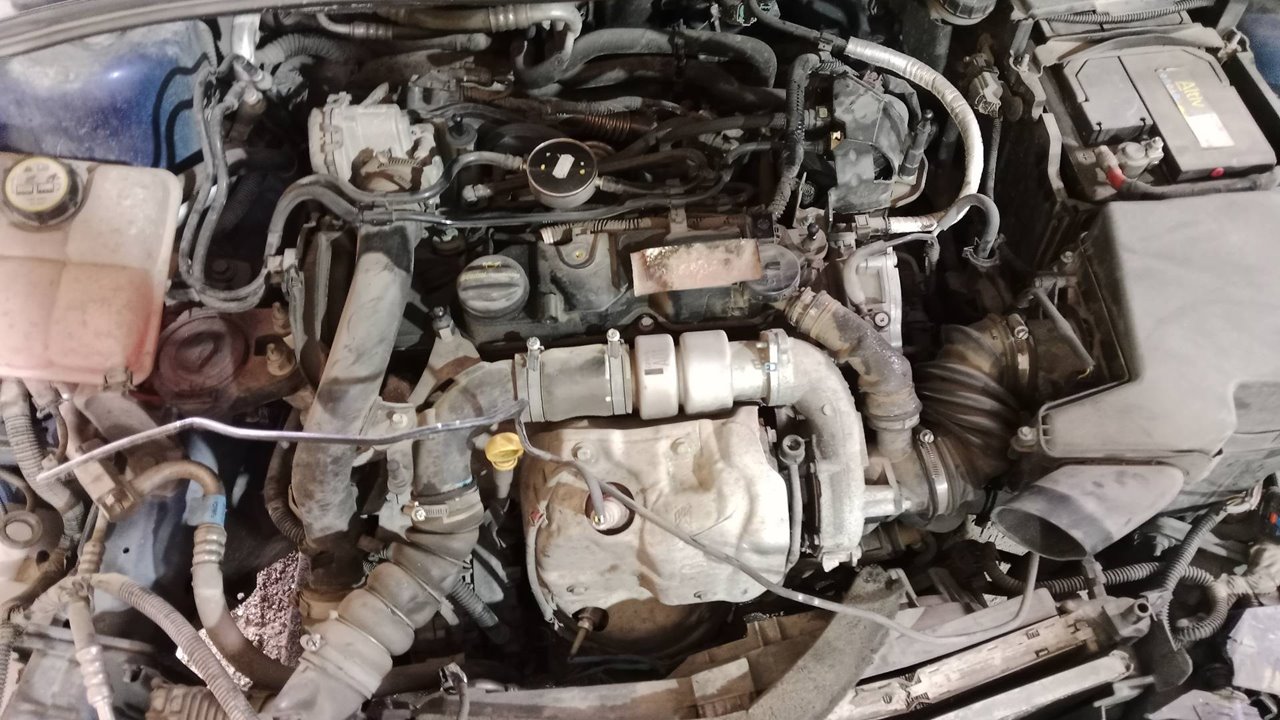 DV612B195PC SERVOFRENO FORD FOCUS SPORTBREAK 2016 13701 devimagesvext/08283e45-1ba6-4c70-9a92-5b0ff35685bb/migcrv/imagenes/000/000/649/000000649624.jpeg