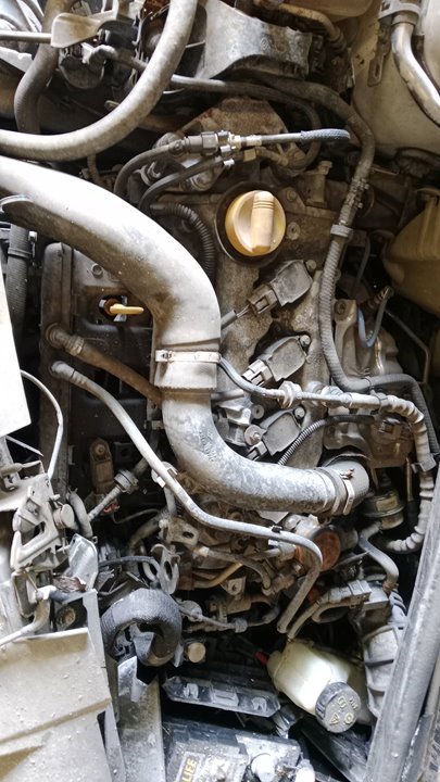 794202086RA BANDEJA TRASERA RENAULT MEGANE IV BERLINA 5P 2018 33263 devimagesvext/08283e45-1ba6-4c70-9a92-5b0ff35685bb/migcrv/imagenes/000/000/672/000000672850.jpeg