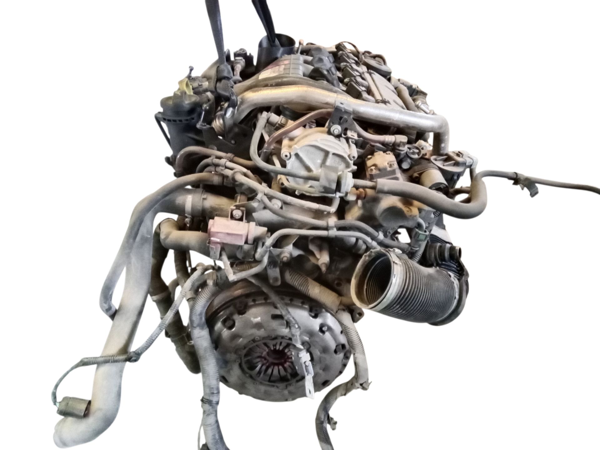 G6DD MOTOR COMPLETO FORD FOCUS BERLINA 2007 34451 devimagesvext/08283e45-1ba6-4c70-9a92-5b0ff35685bb/migcrv/imagenes/000/000/693/000000693107.jpeg