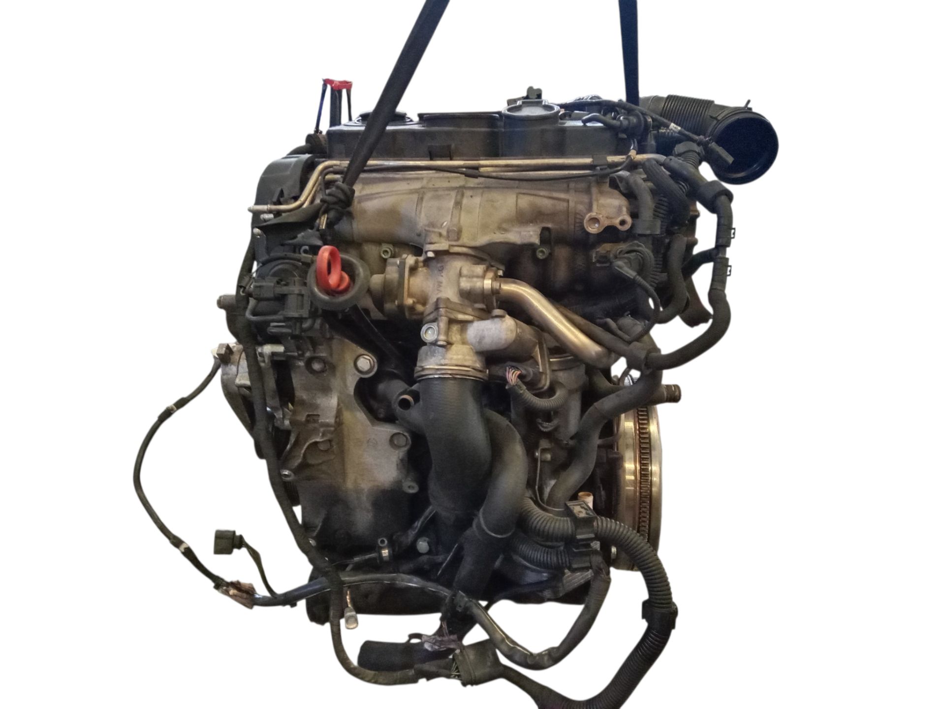 BMN MOTOR COMPLETO VOLKSWAGEN GOLF V 2007 34617 devimagesvext/08283e45-1ba6-4c70-9a92-5b0ff35685bb/migcrv/imagenes/000/000/707/000000707707.jpeg