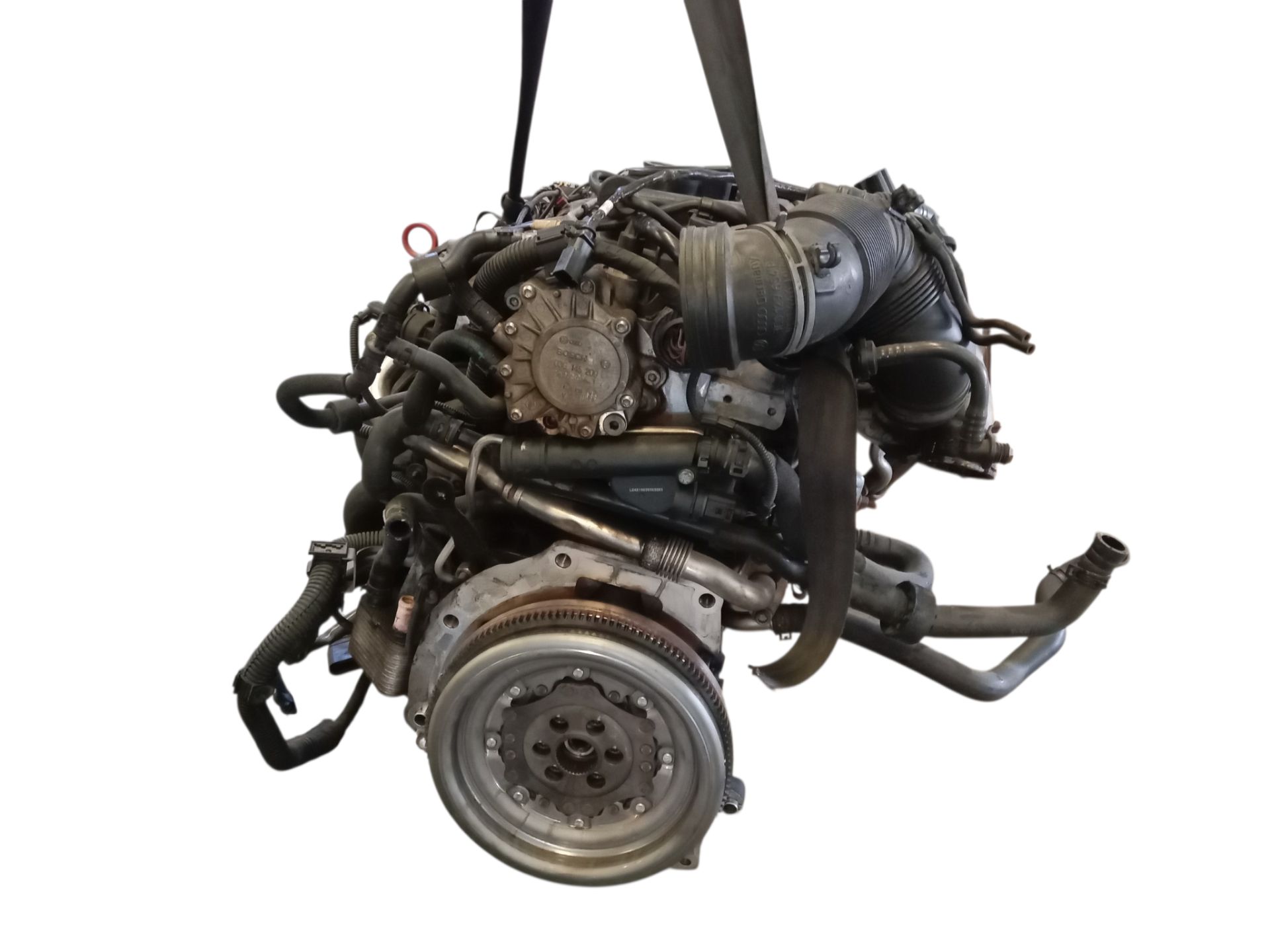 BMN MOTOR COMPLETO VOLKSWAGEN GOLF V 2007 34617 devimagesvext/08283e45-1ba6-4c70-9a92-5b0ff35685bb/migcrv/imagenes/000/000/707/000000707711.jpeg