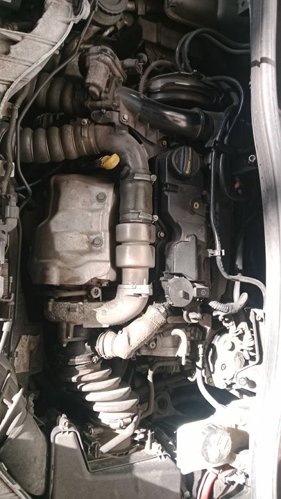 T1DA MOTOR COMPLETO FORD C-MAX 2012 34615 devimagesvext/08283e45-1ba6-4c70-9a92-5b0ff35685bb/migcrv/imagenes/000/000/708/000000708286.jpeg