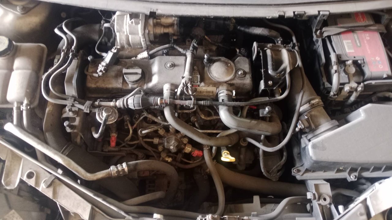 SIN DEFINIR BANDEJA TRASERA FORD FOCUS BERLINA 2007 34330 devimagesvext/08283e45-1ba6-4c70-9a92-5b0ff35685bb/migcrv/imagenes/000/000/709/000000709684.jpeg