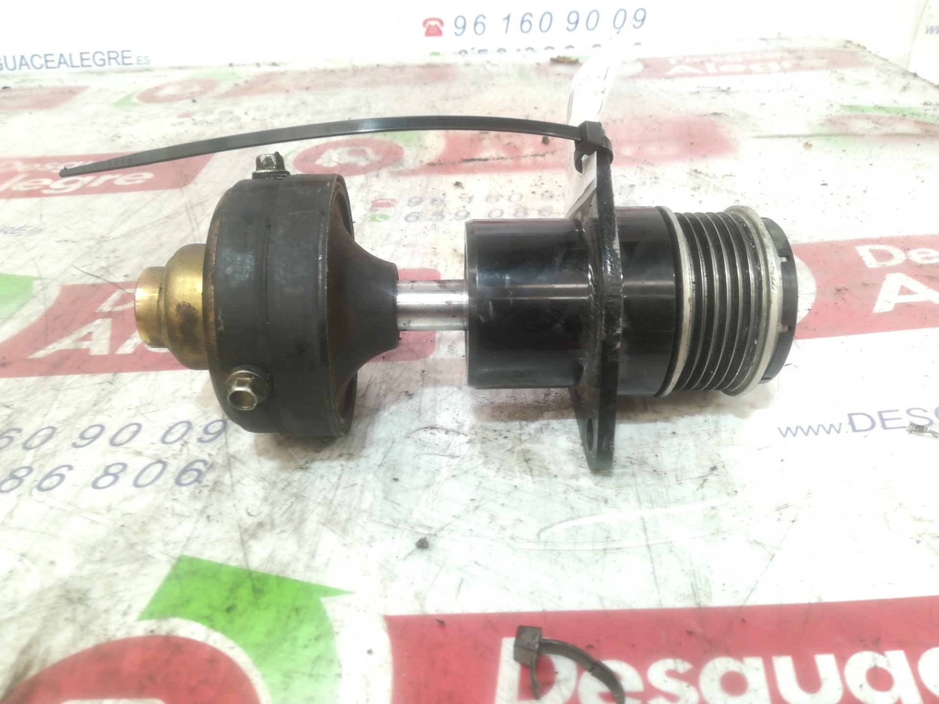 FORD FOCUS BERLINA POLEA ALTERNADOR FORD FOCUS BERLINA POLEA ALTERNADOR