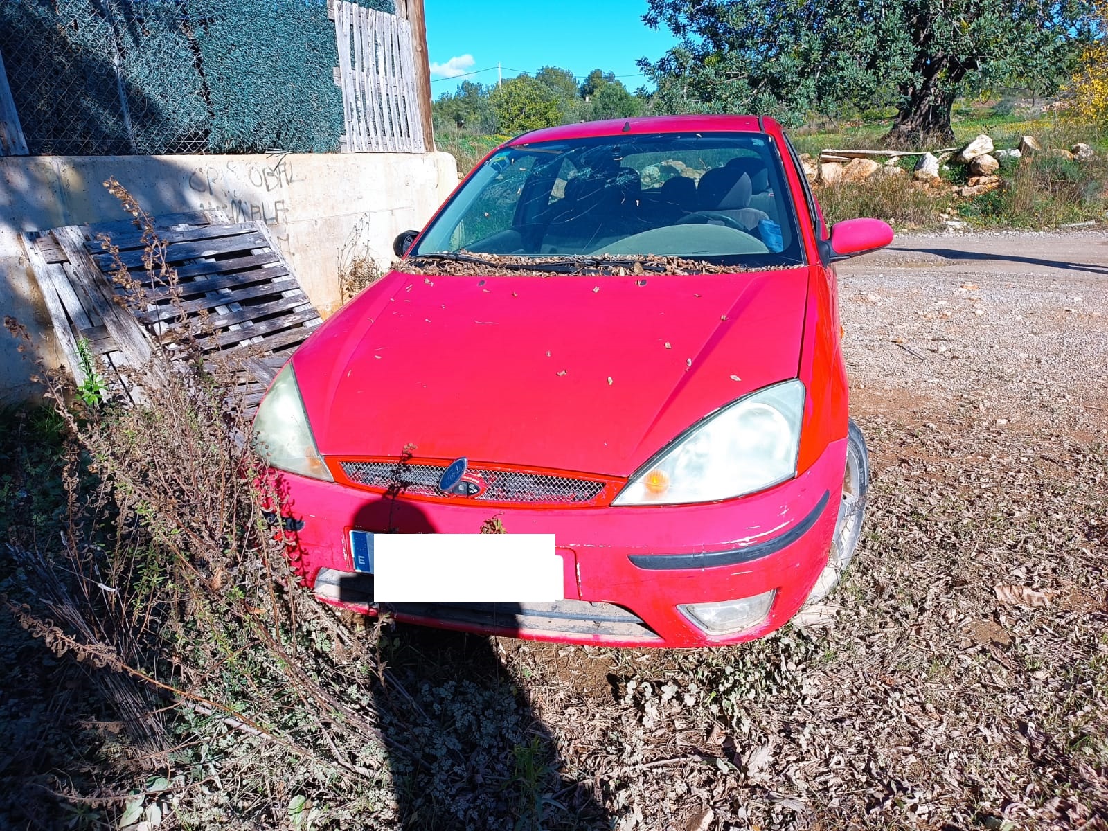 FORD FOCUS BERLINA ALTERNADOR FORD FOCUS BERLINA ALTERNADOR