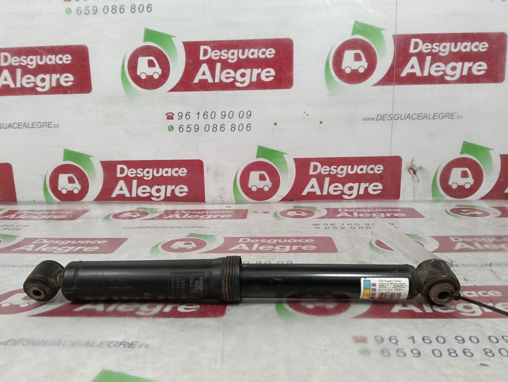 CITROEN C3 AMORTIGUADOR TRASERO DERECHO CITROEN C3 AMORTIGUADOR TRASERO DERECHO