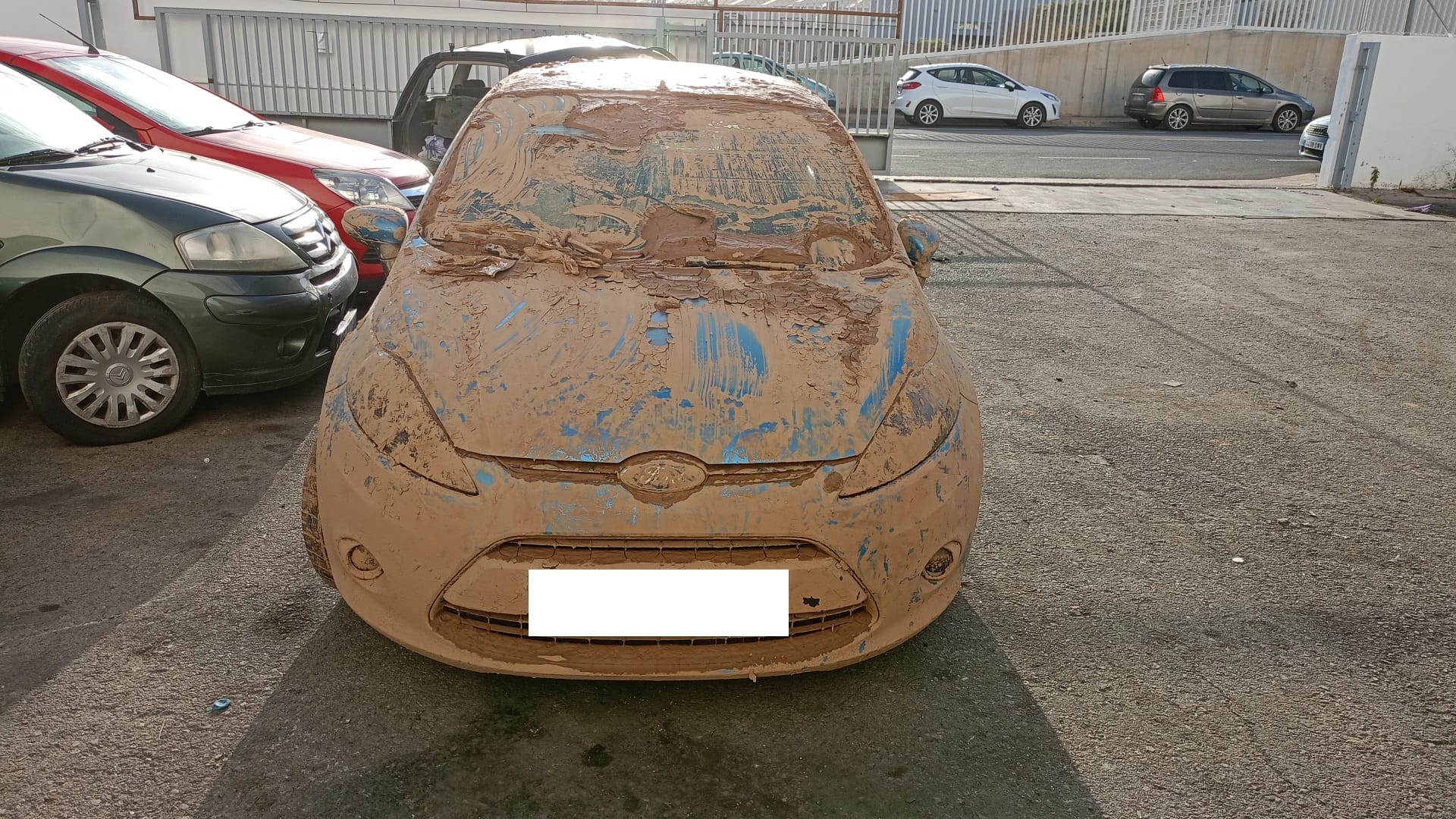 FORD FIESTA CAPO FORD FIESTA CAPO