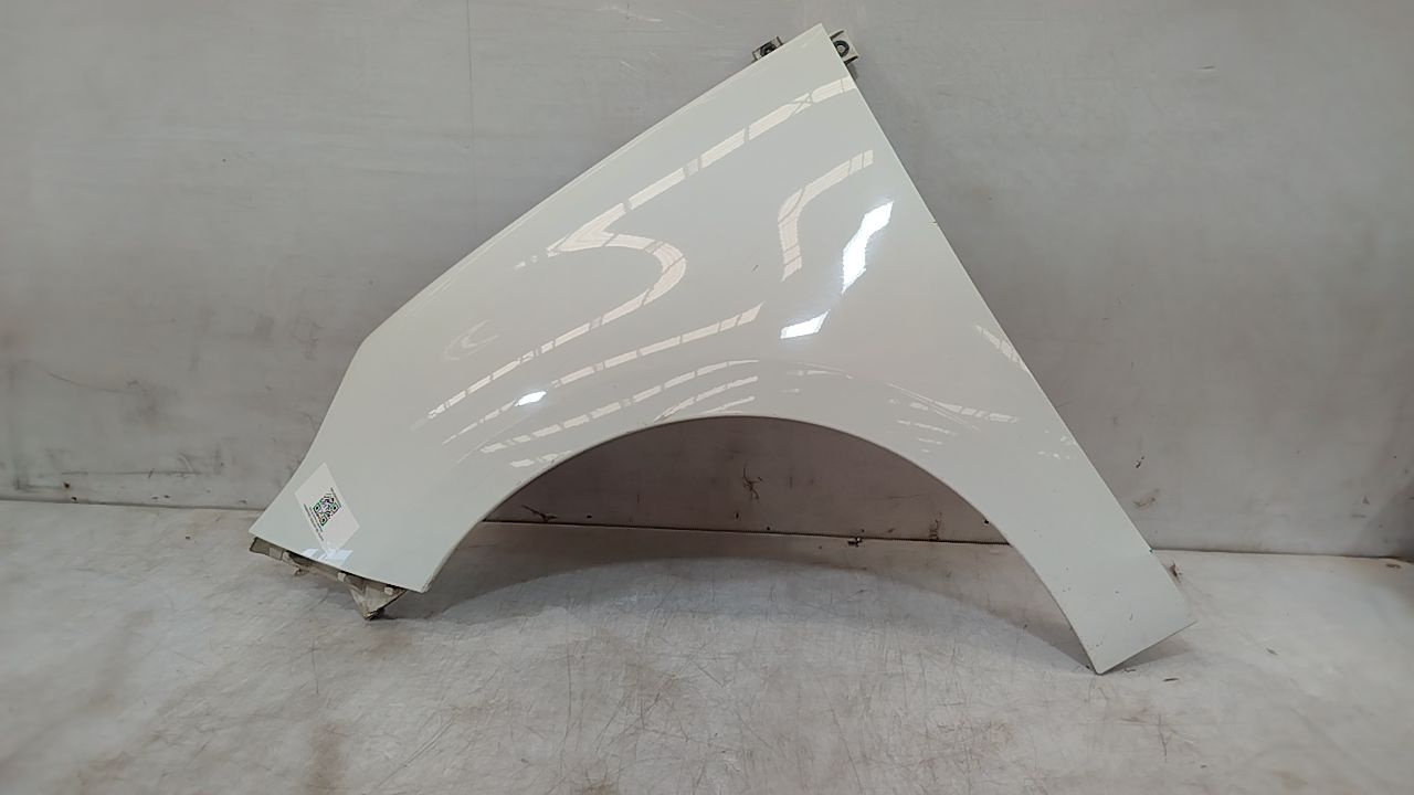 RENAULT SCENIC III ALETA DELANTERA IZQUIERDA