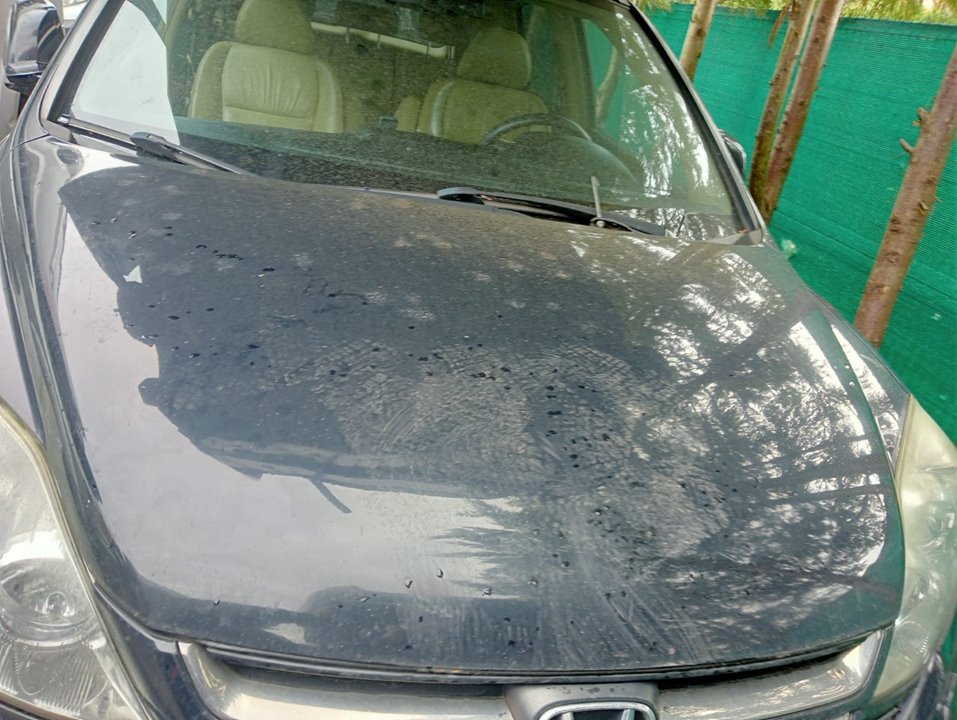 Veh&iacute;culo, Recicauto Desguaces