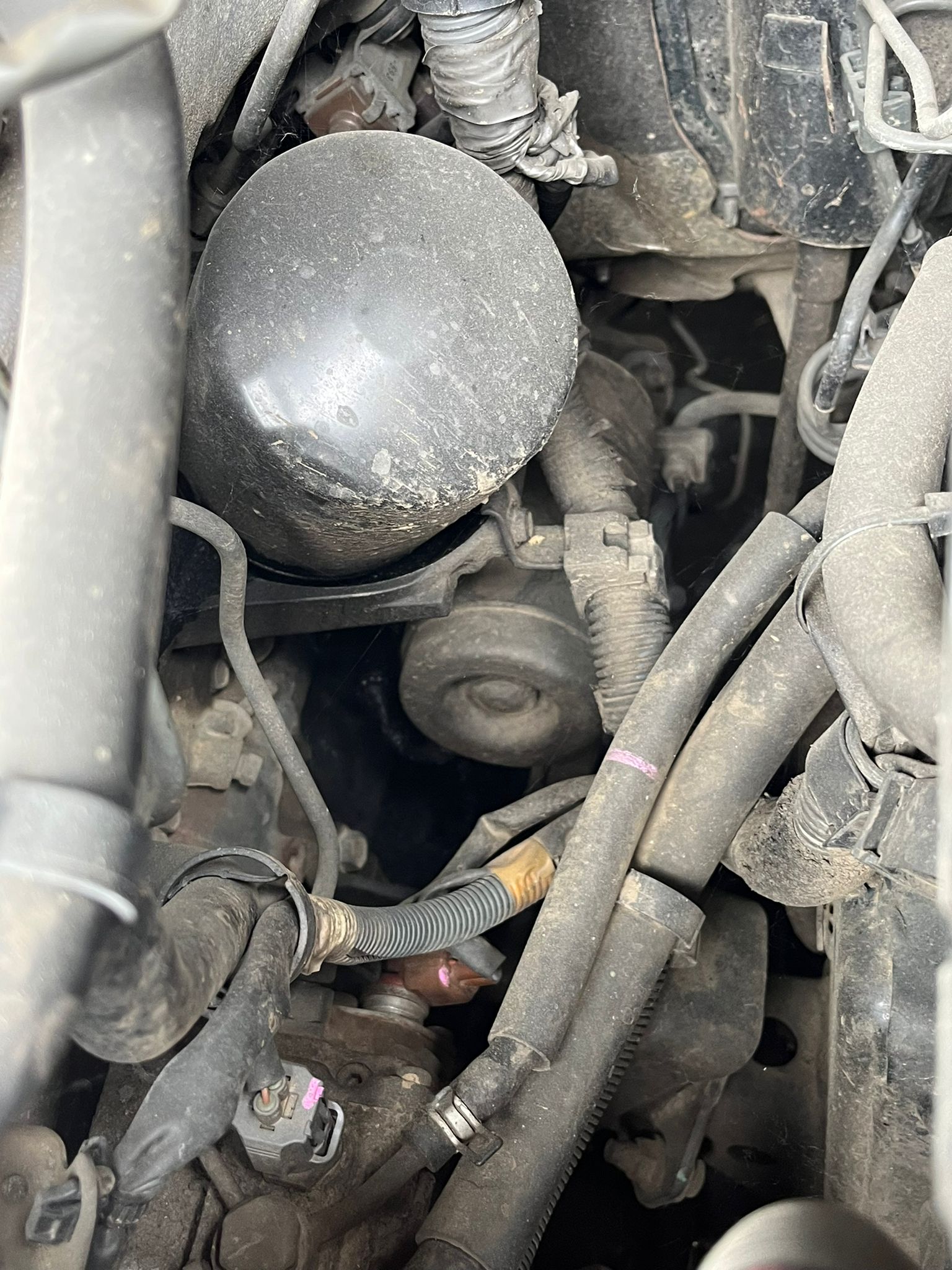  MOTOR ARRANQUE TOYOTA LAND CRUISER STATION 2001 3135 devimagesvext/fa6623dd-d18d-43a2-9112-2c7826f331a7/migcrv/imagenes/000/000/004/000000004351.jpeg