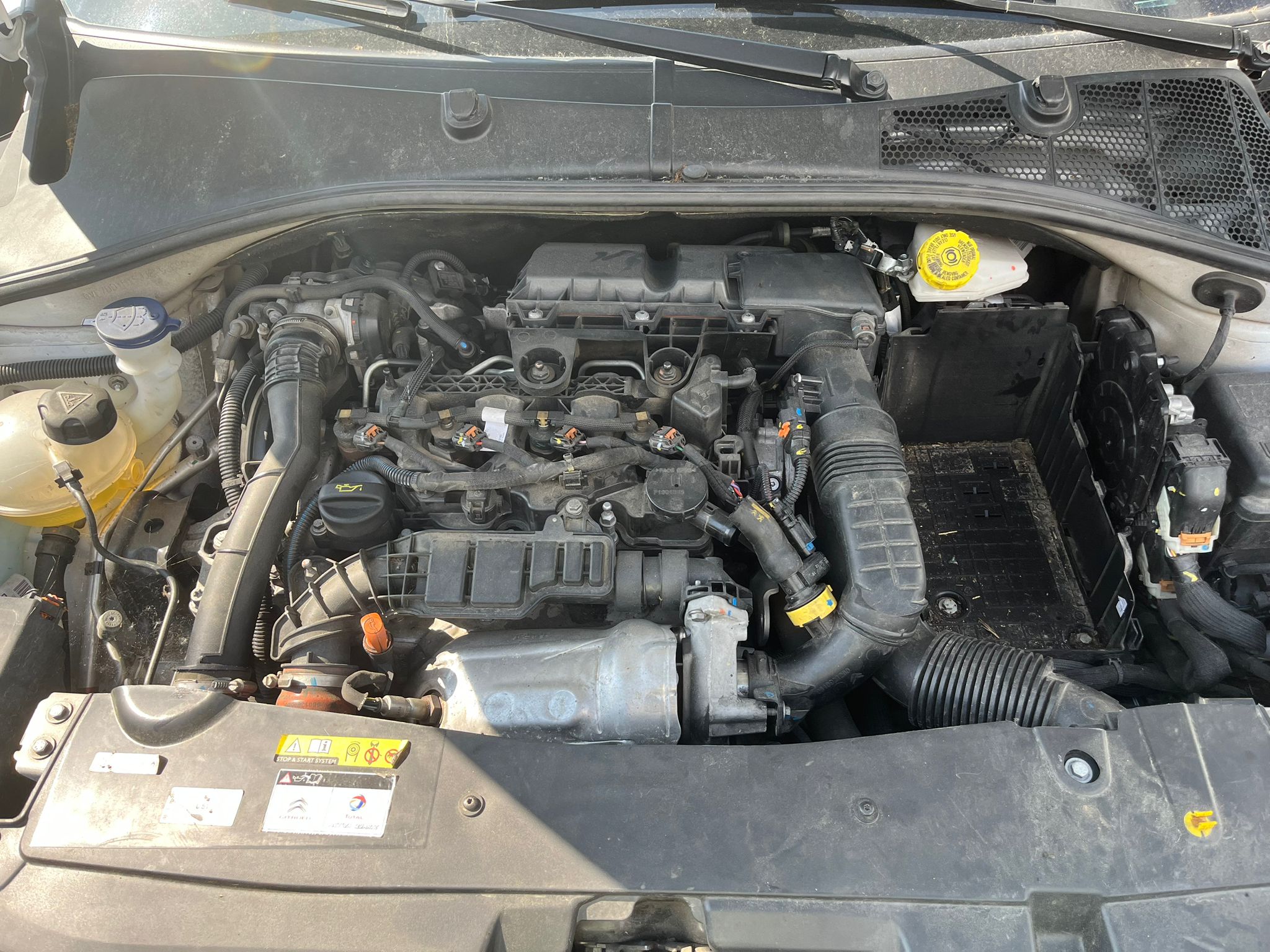  CITROEN C-ELYSÉE 2018 127 devimagesvext/fa6623dd-d18d-43a2-9112-2c7826f331a7/migcrv/imagenes/000/000/004/000000004467.jpeg