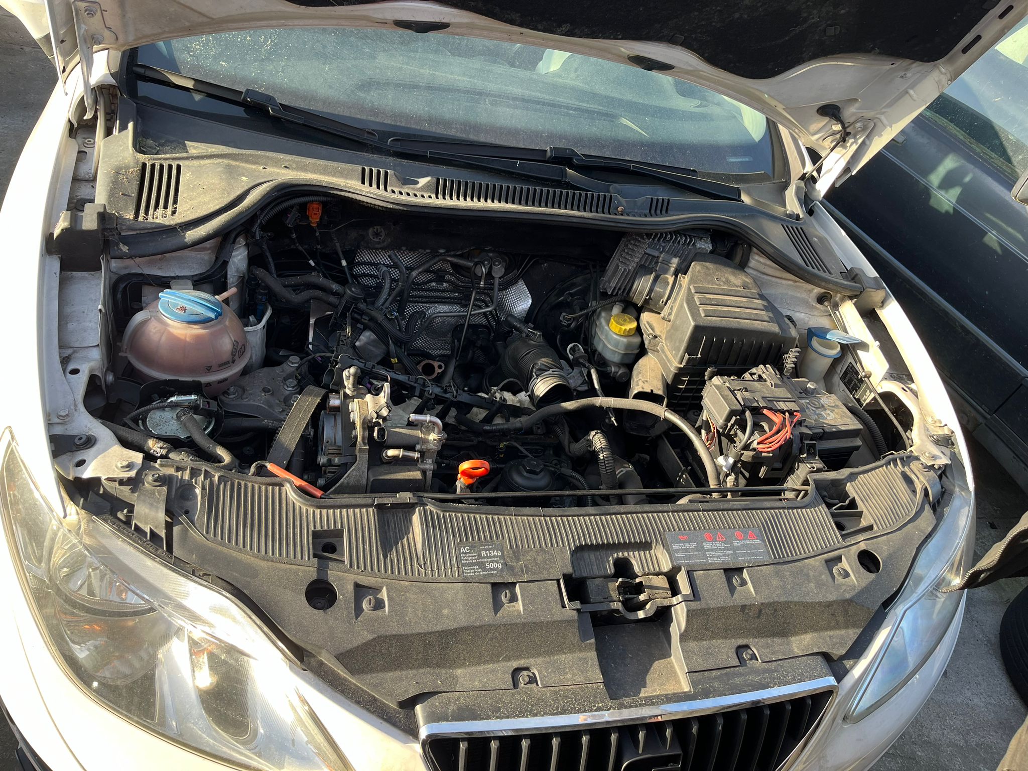  SEAT IBIZA SC 2010 2340 devimagesvext/fa6623dd-d18d-43a2-9112-2c7826f331a7/migcrv/imagenes/000/000/014/000000014236.jpeg