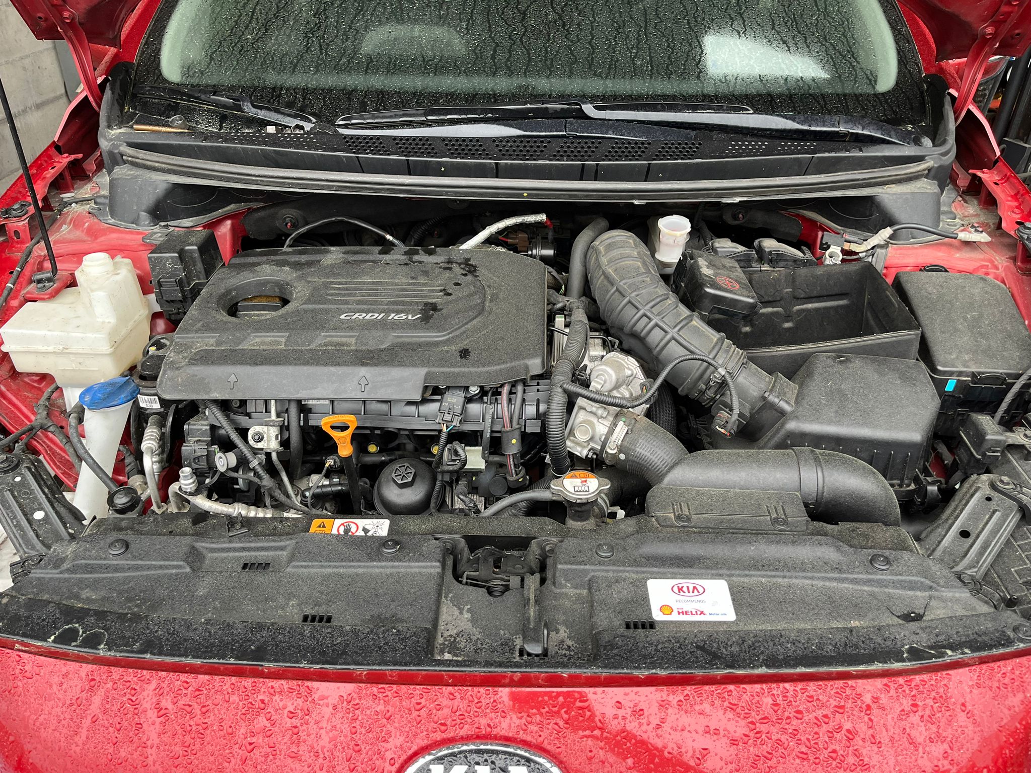  CAJA CAMBIOS KIA CEED 2016  Caja de cambios 6-marcha 2648 devimagesvext/fa6623dd-d18d-43a2-9112-2c7826f331a7/migcrv/imagenes/000/000/015/000000015164.jpeg