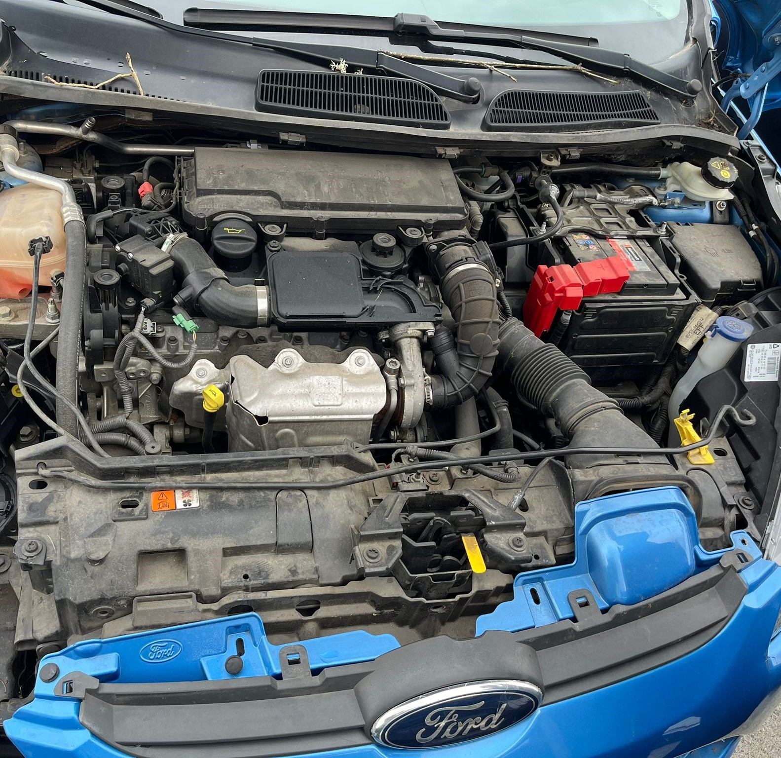   FORD FIESTA 2010 2359 devimagesvext/fa6623dd-d18d-43a2-9112-2c7826f331a7/migcrv/imagenes/000/000/015/000000015820.jpeg