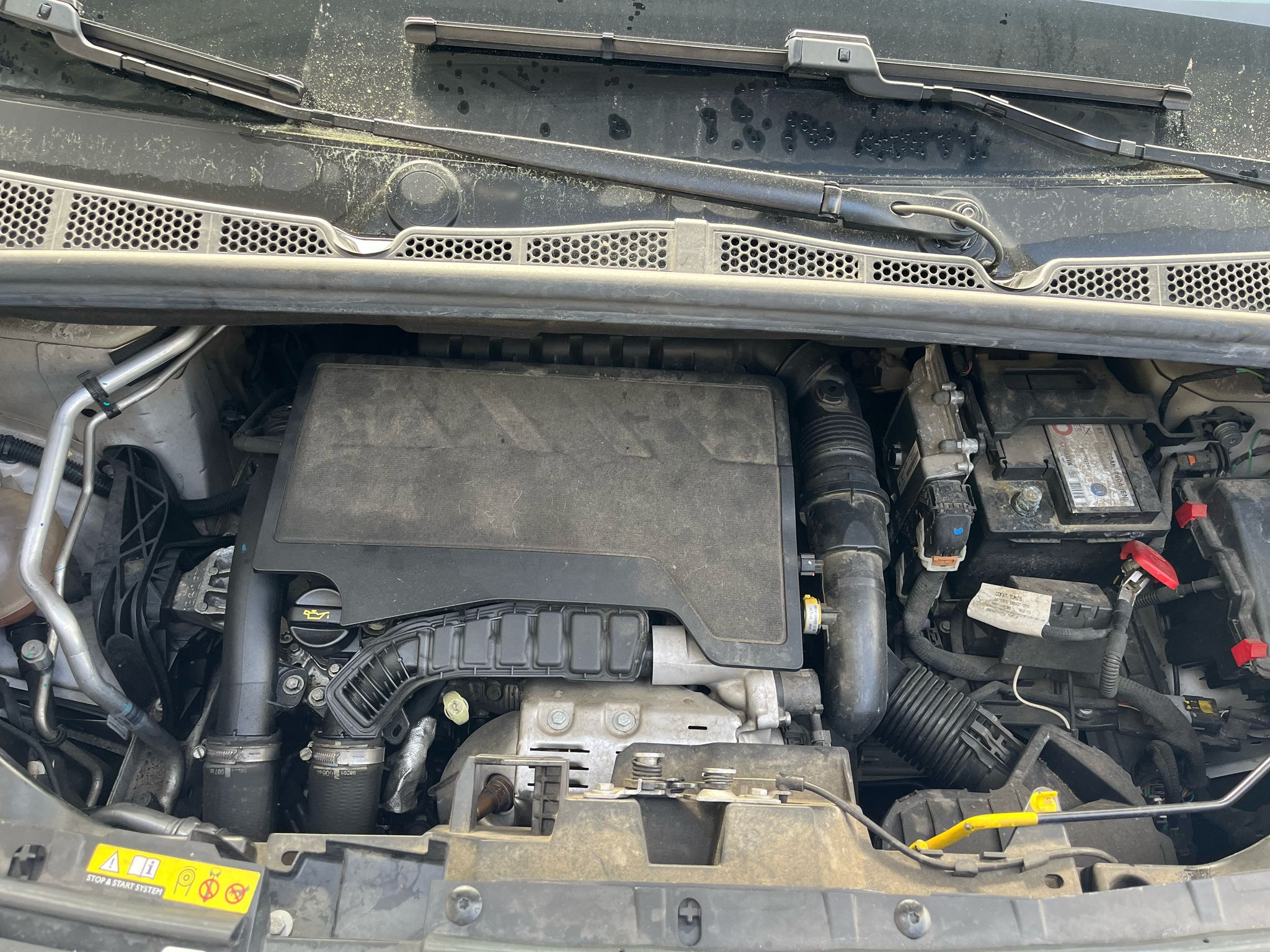  CAJA CAMBIOS CITROEN BERLINGO COMBI 2019  Caja de cambios 6-marcha 2389 devimagesvext/fa6623dd-d18d-43a2-9112-2c7826f331a7/migcrv/imagenes/000/000/024/000000024534.jpeg