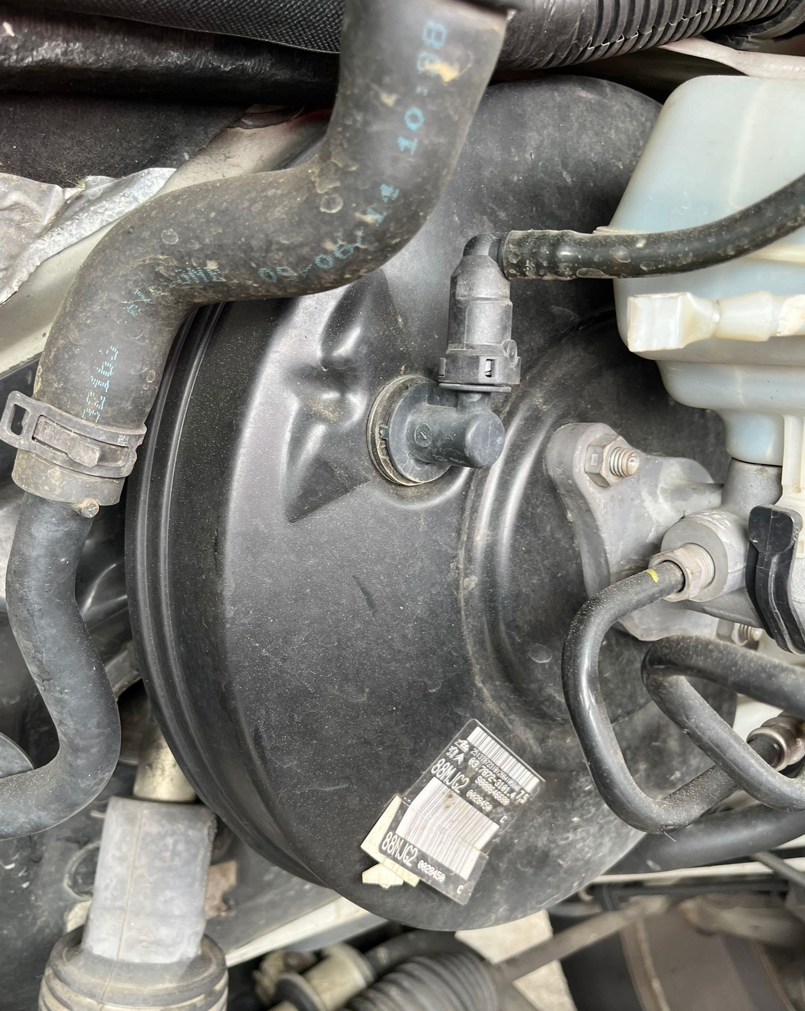  SERVOFRENO FIAT II SCUDO 272 COMBI 2015 1576 devimagesvext/fa6623dd-d18d-43a2-9112-2c7826f331a7/migcrv/imagenes/000/000/028/000000028360.jpeg