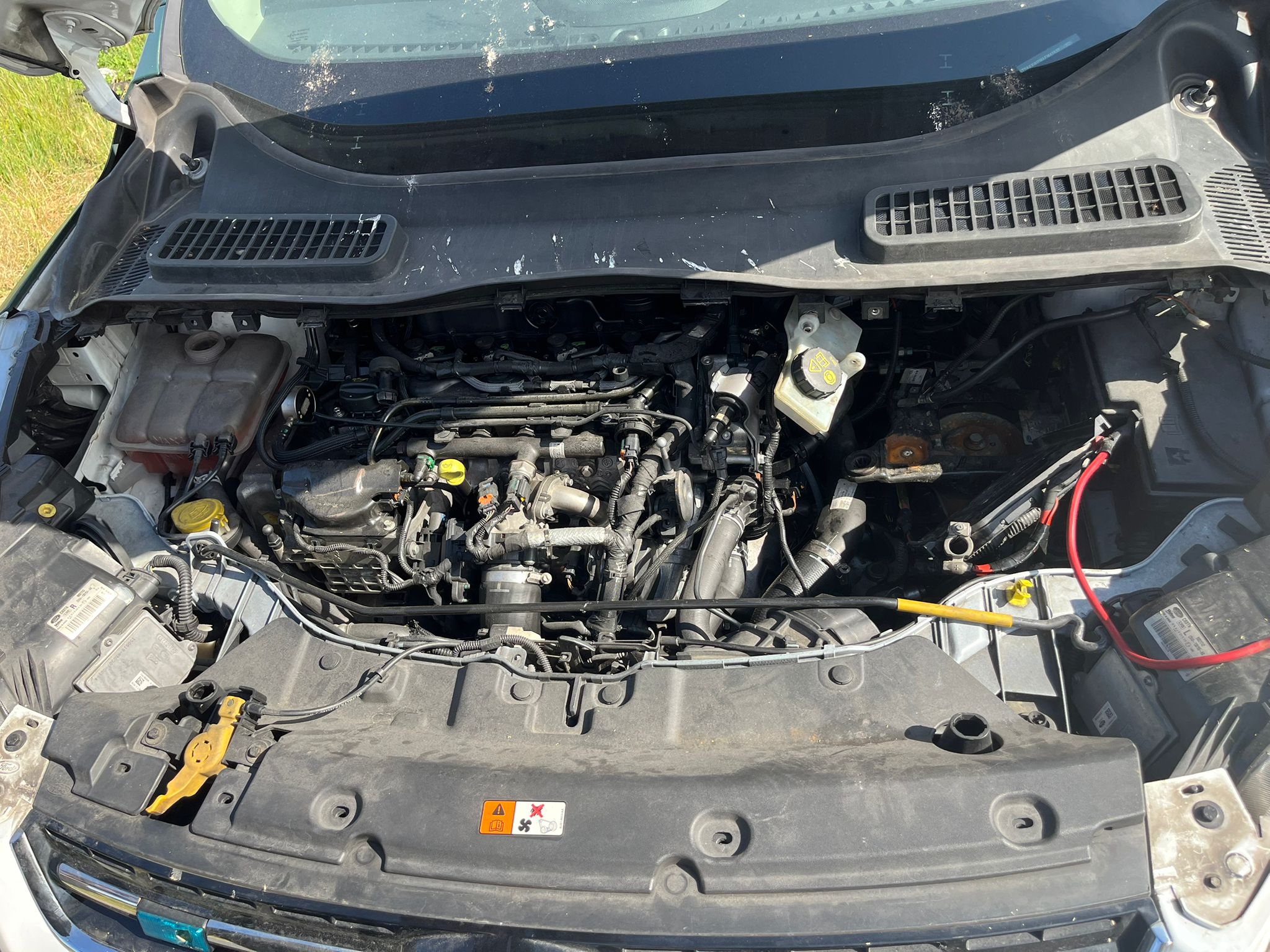   FORD KUGA 2016 2358 devimagesvext/fa6623dd-d18d-43a2-9112-2c7826f331a7/migcrv/imagenes/000/000/028/000000028924.jpeg