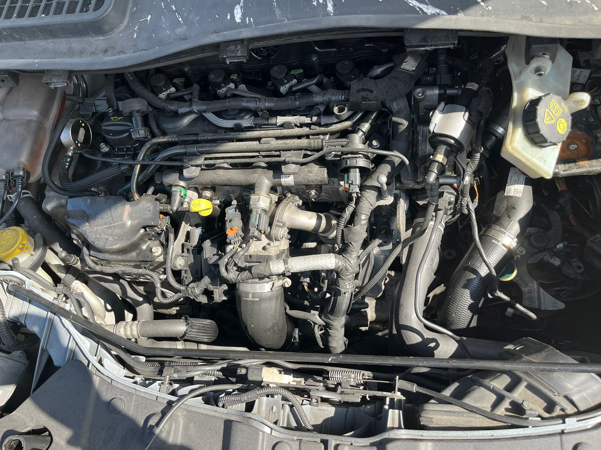   FORD KUGA 2016 395 devimagesvext/fa6623dd-d18d-43a2-9112-2c7826f331a7/migcrv/imagenes/000/000/028/000000028930.jpeg