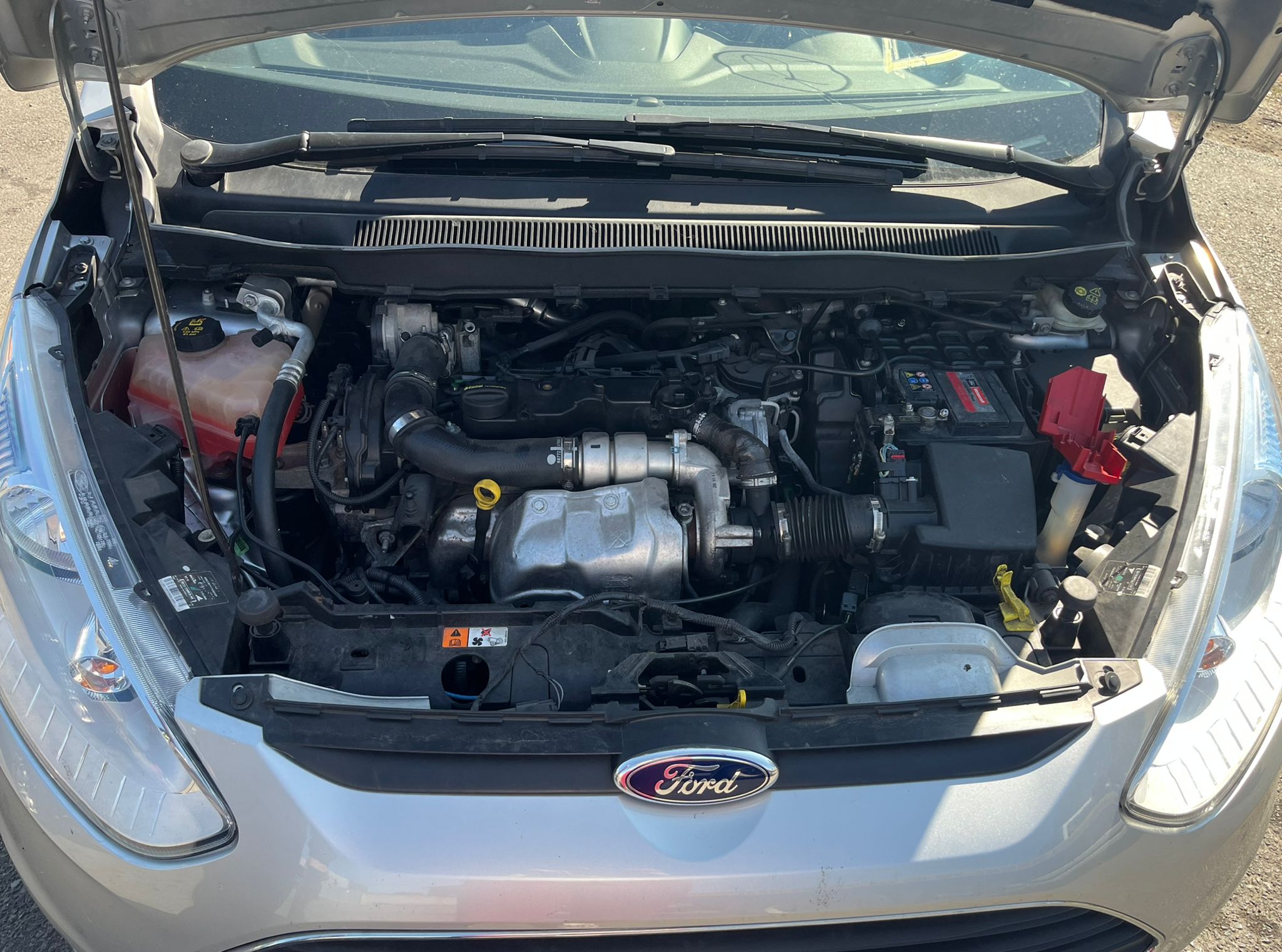   FORD B-MAX 2013 1996 devimagesvext/fa6623dd-d18d-43a2-9112-2c7826f331a7/migcrv/imagenes/000/000/032/000000032138.jpeg