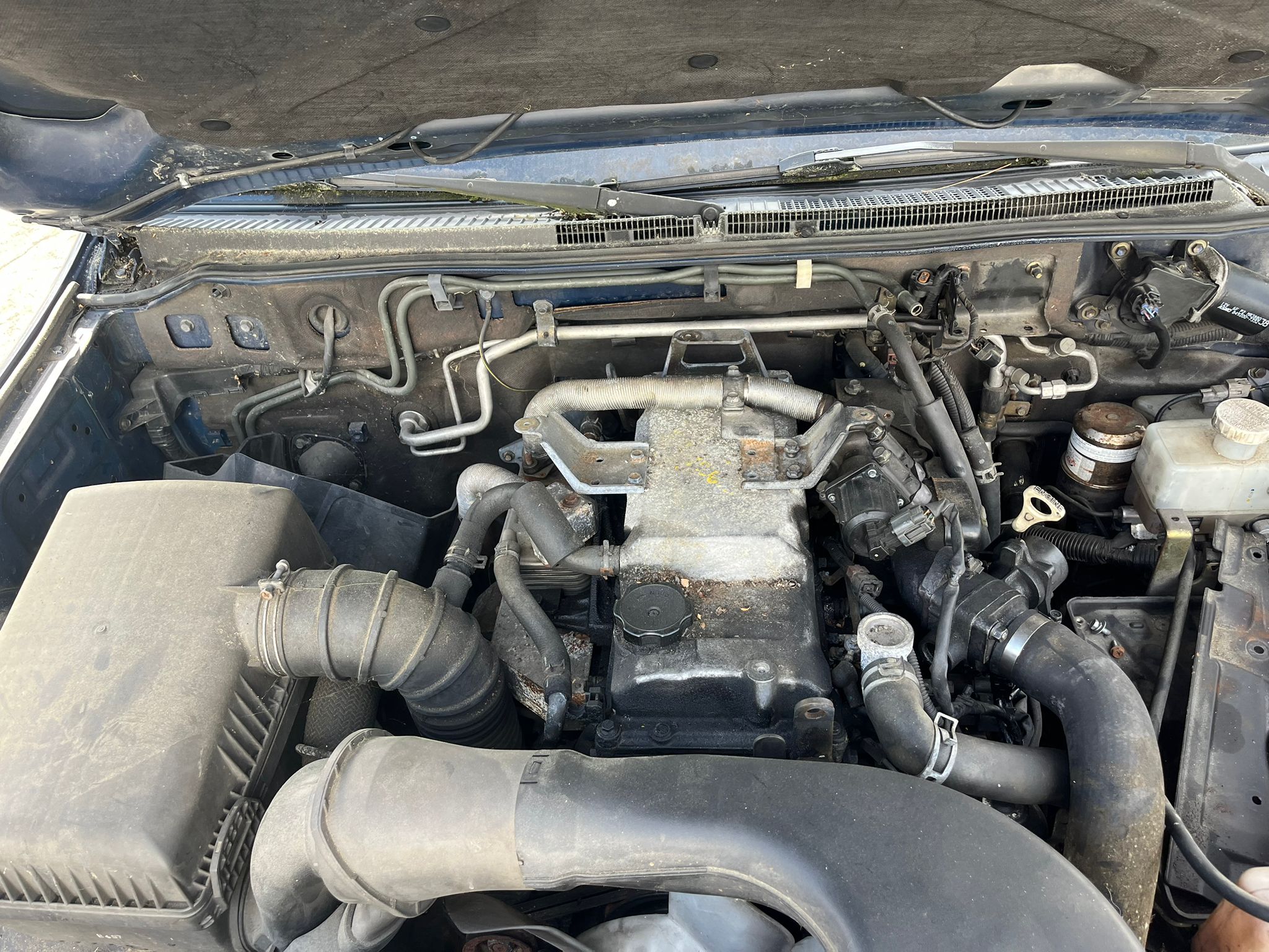 D 4M41  MITSUBISHI MONTERO 2005 104 devimagesvext/fa6623dd-d18d-43a2-9112-2c7826f331a7/migcrv/imagenes/000/000/032/000000032678.jpeg