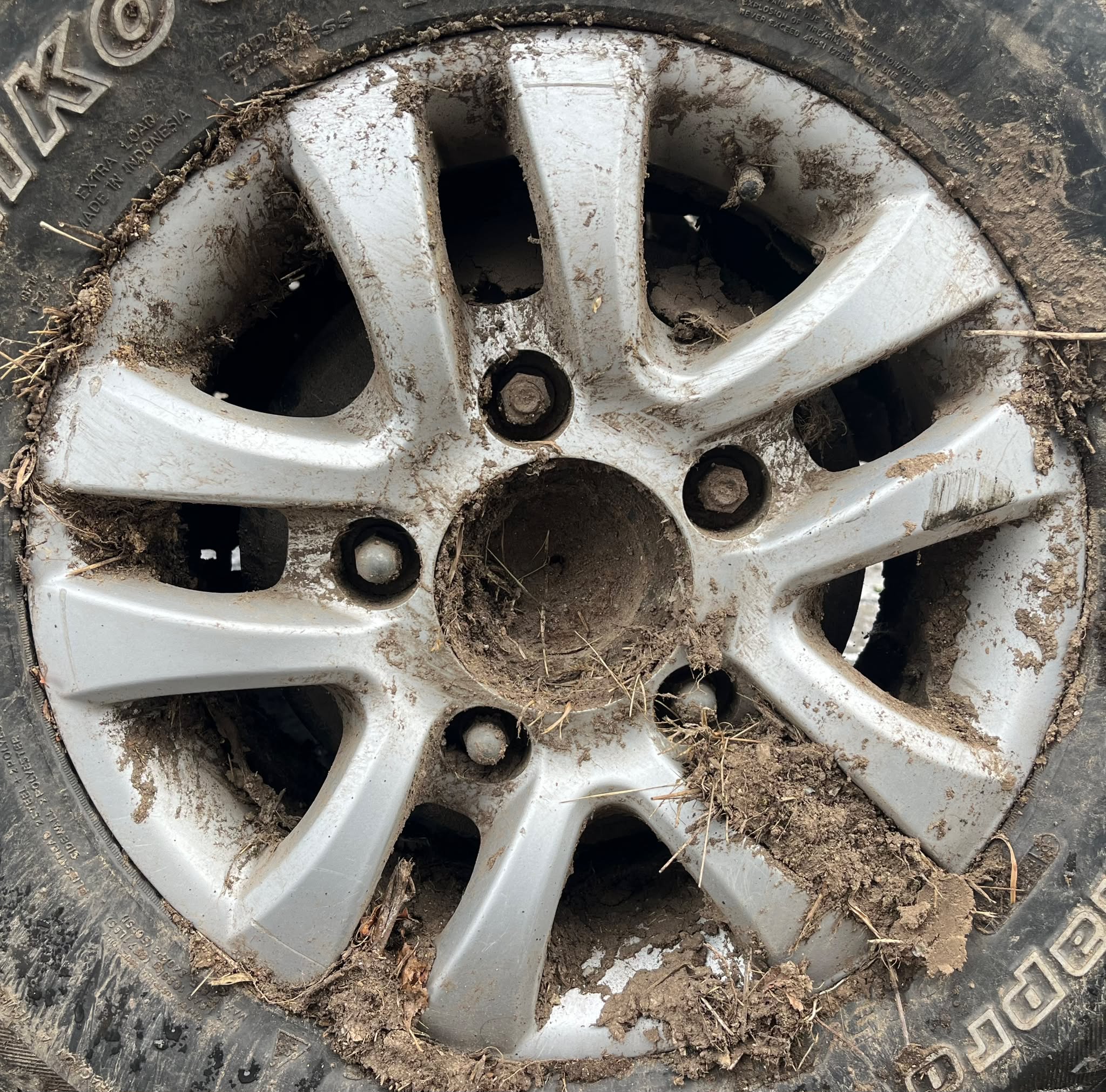  LLANTA TATA SAFARI 2007 6665 devimagesvext/fa6623dd-d18d-43a2-9112-2c7826f331a7/migcrv/imagenes/000/000/042/000000042127.jpeg